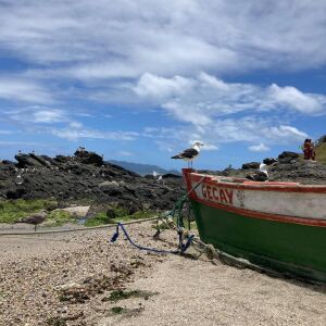 Entre a preservação e a identidade perdida: as dores de crescimento de uma cidade de 410 anos