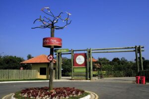 Aniversário da Cidade: funcionamento de serviços municipais