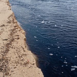 Prefeituras de Cabo Frio e Búzios alegam avaliar causas da poluição no Rio Una