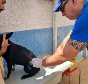 Cantagalo tem reforço de Antirrábica neste sábado, 4