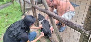 Sábado tem reforço de Vacinação Antirrábica em Rocha Leão