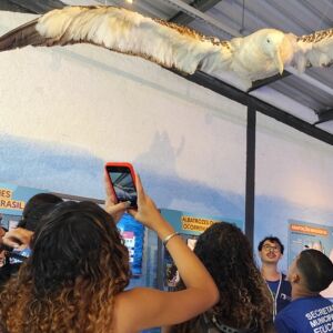 Projeto Albatroz completa três anos em Cabo Frio com ações gratuitas de educação ambiental