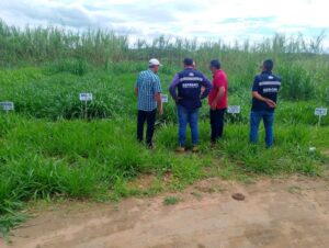 Rio das Ostras busca novas tecnologias para produção rural